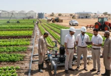 مهندسون يعملون في مشروع زراعي داخل الكويت